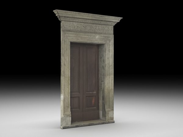 Wooden door 9