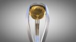 World cup cricket trophy