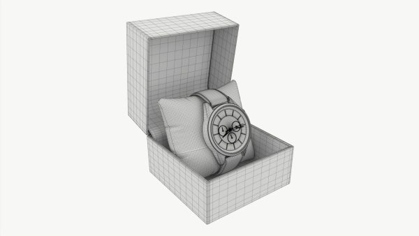 Wristwatch with Leather Strap in box 01